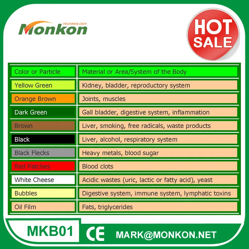 Foot Detoxification Machine