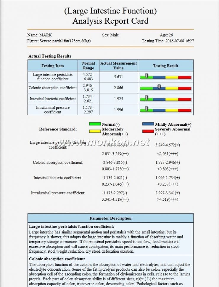 quantum resonance magnetic analyzer english 3.99 version software (19)