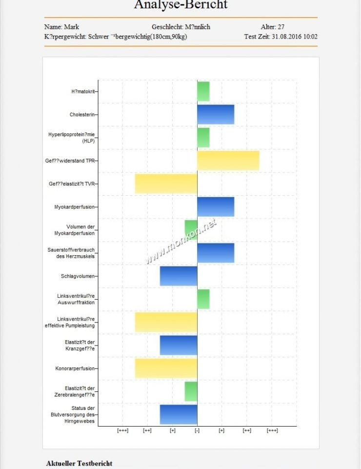 QUANTENRESONANZ MAGNETISCHER ANALYSATOR  4.0 software teaching (17)