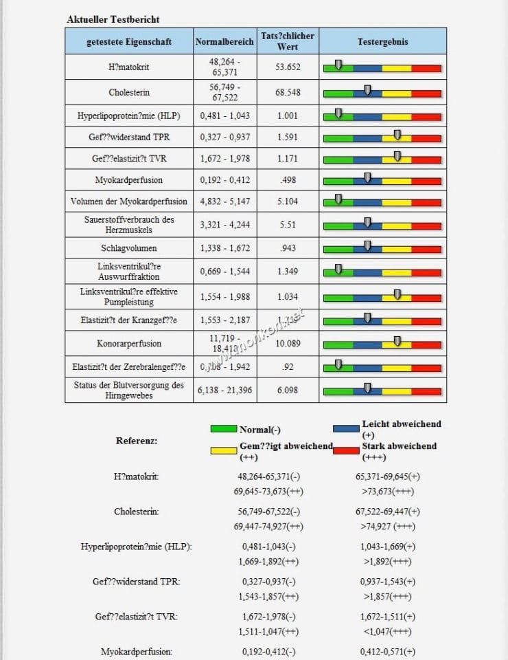 QUANTENRESONANZ MAGNETISCHER ANALYSATOR  4.0 software teaching (18)