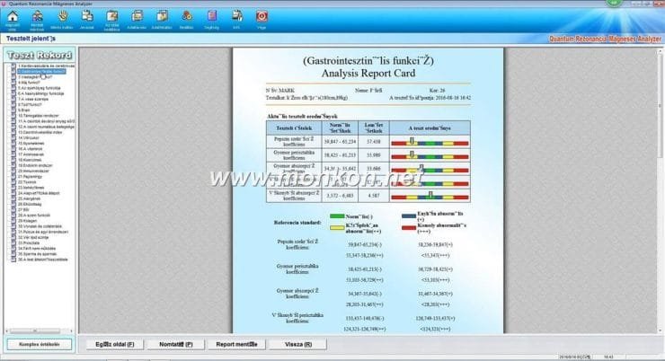 how to use the Hungarian version Quantum Resonance Magnetic Analyzer Quantum Rezonancia Mágneses Analyzer (15)