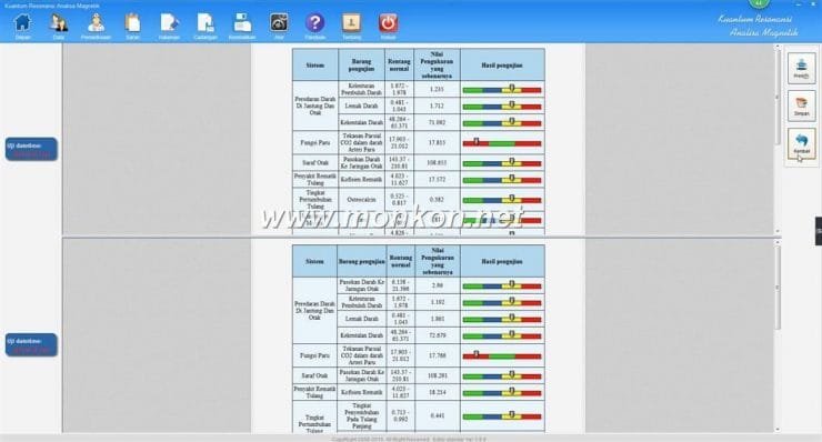 how to use the Indonesian version Quantum Resonance Magnetic Analyzer Kuantum Resonansi Analisa Magnetik (15)