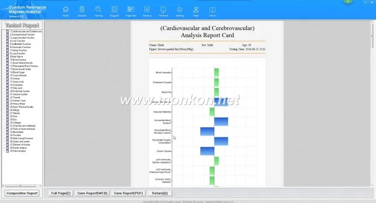 how to use the Quantum Resonance Magnetic Analyzer english 4.0.0 version software (14)