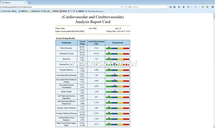 how to use the Quantum Resonance Magnetic Analyzer english 4.0.0 version software (18)