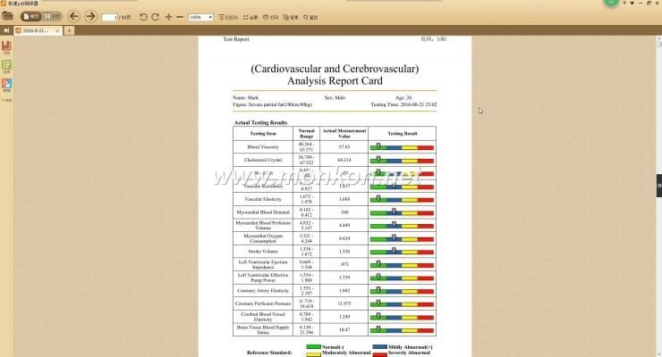 how to use the Quantum Resonance Magnetic Analyzer english 4.0.0 version software (20)