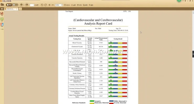 how to use the Quantum Resonance Magnetic Analyzer english 4.0.0 version software (20)