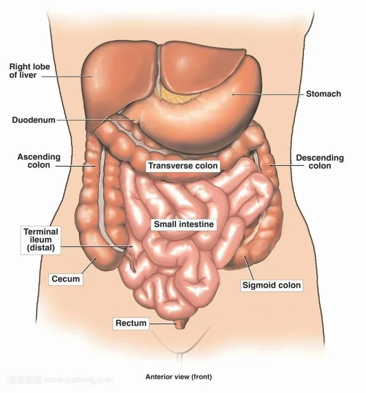 colon hydrotherapy machine price
