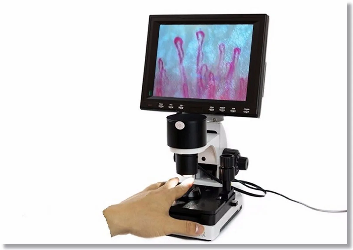 Microscope Microcirculation