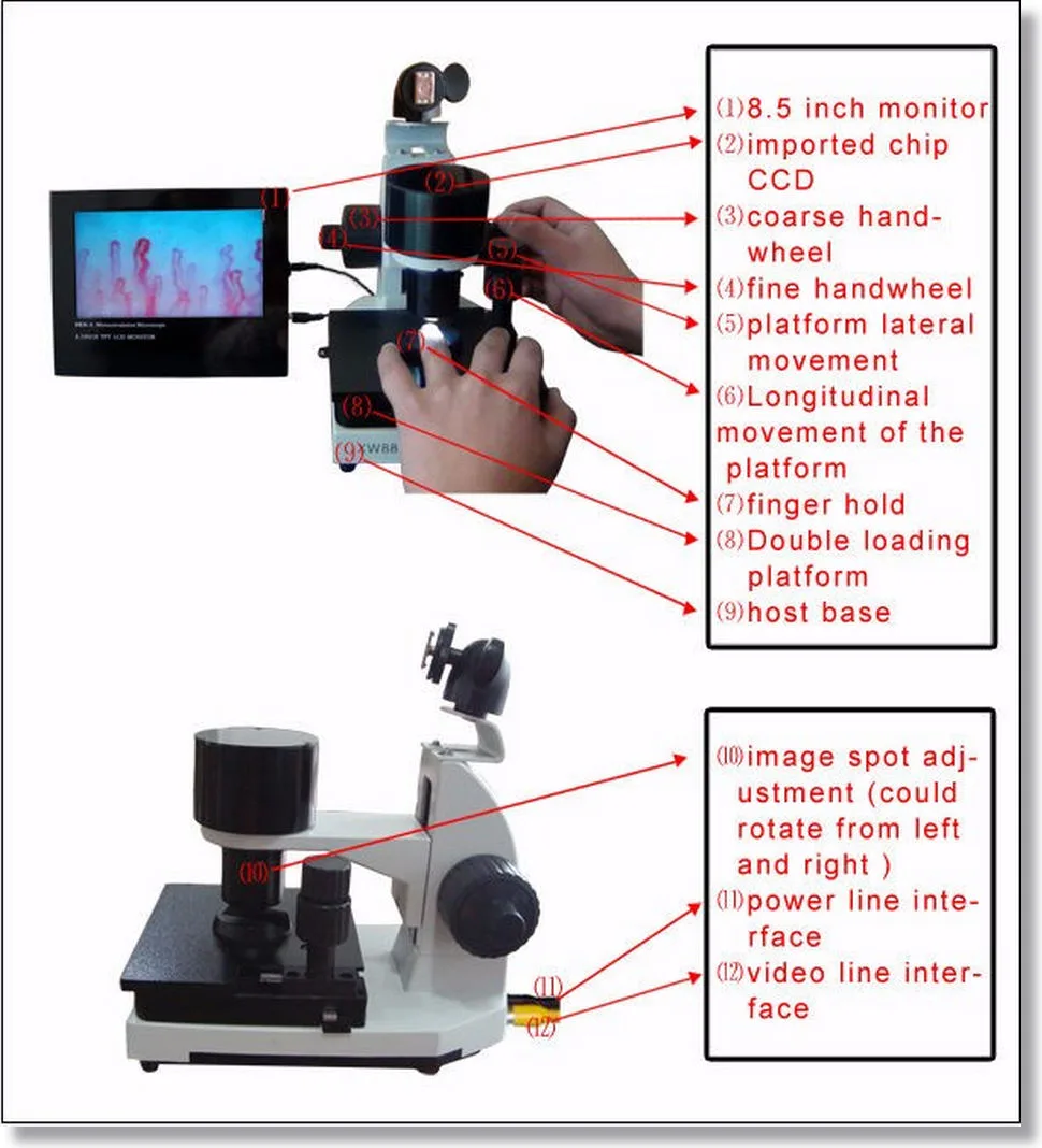 Microscope Microcirculation