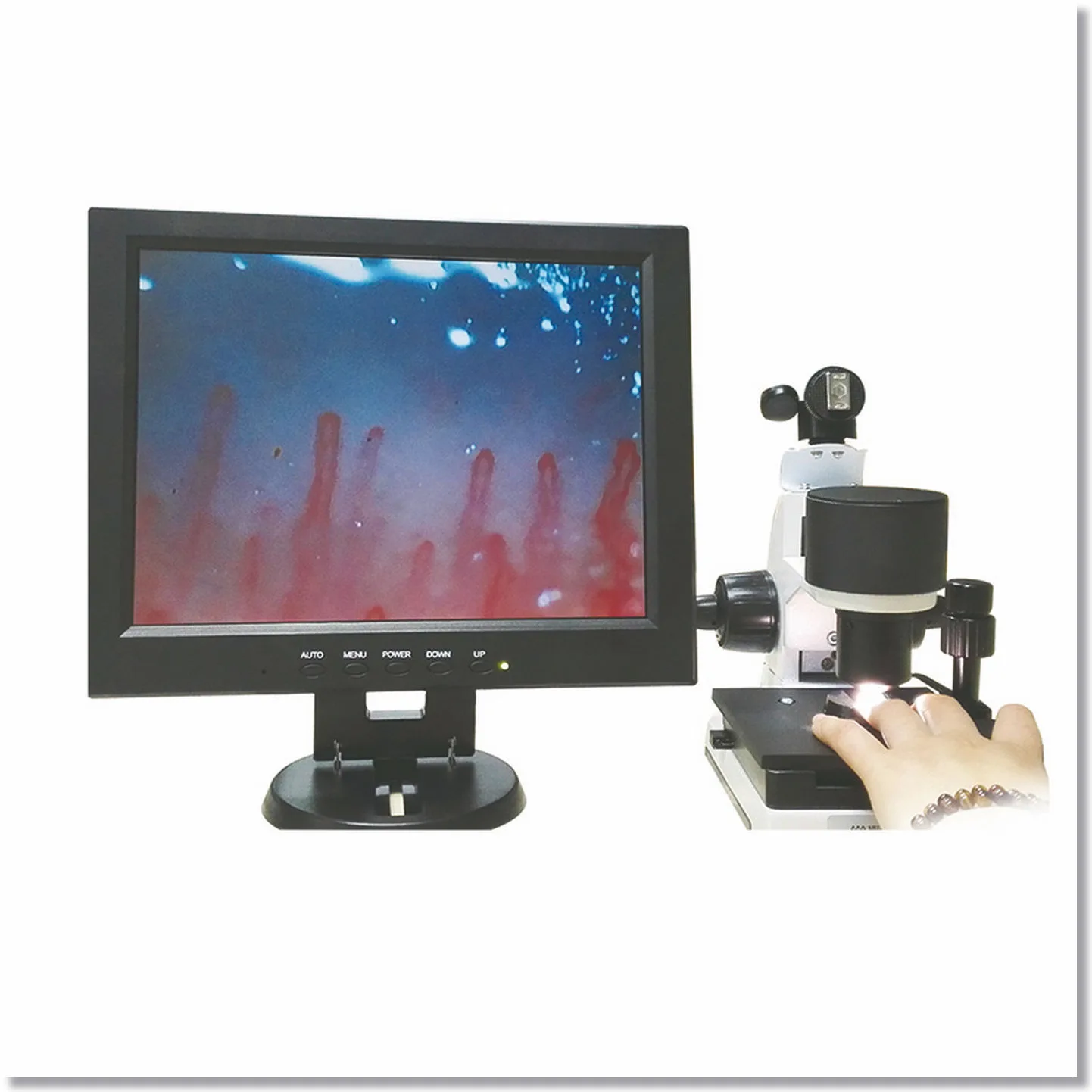 Microscope Microcirculation